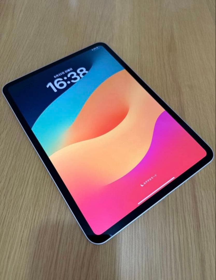 iPad Pro 11in M4 256 WiFi bat100% アップル購入