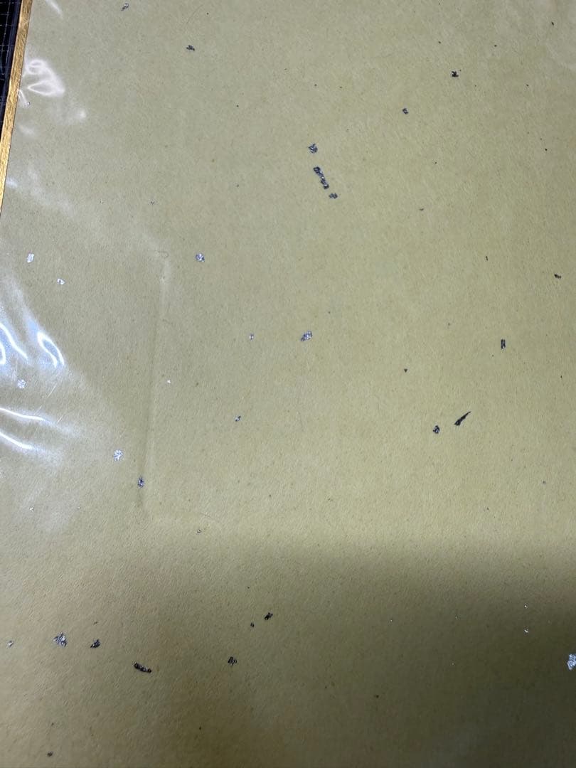 大橋彩香 直筆サイン色紙 ひめがみ神楽 カーマ