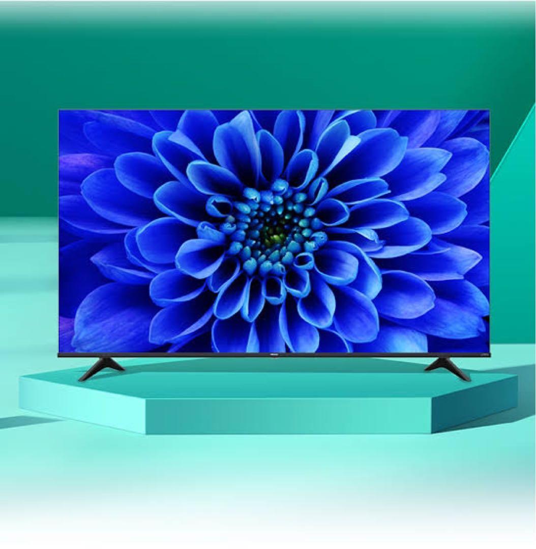 新品箱不良　ハイセンス65E6G 65V型地上BSCSデジタル4K内蔵液晶テレビ