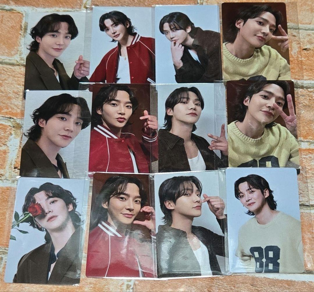 ロウン　トレカ　まとめ売り⑬　Crazy Birthday Party