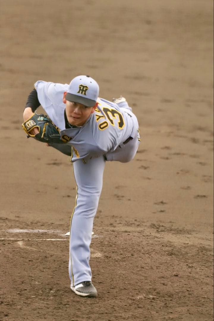 npb実使用グローブ