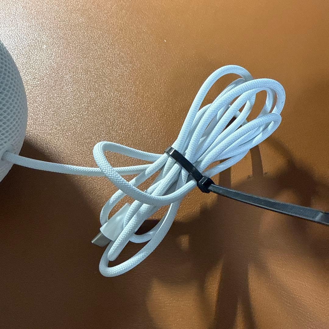 Apple Pod miniスタンド付き