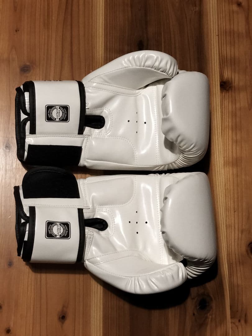 TWINS SPECIAL ボクシンググローブ 14oz ホワイト