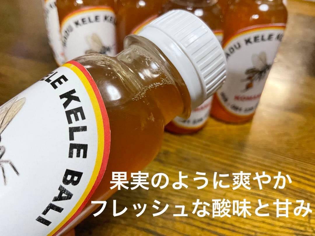 ササナミ様 バリ島 針なしミツバチの蜂蜜(完全非加熱)約140g 6本