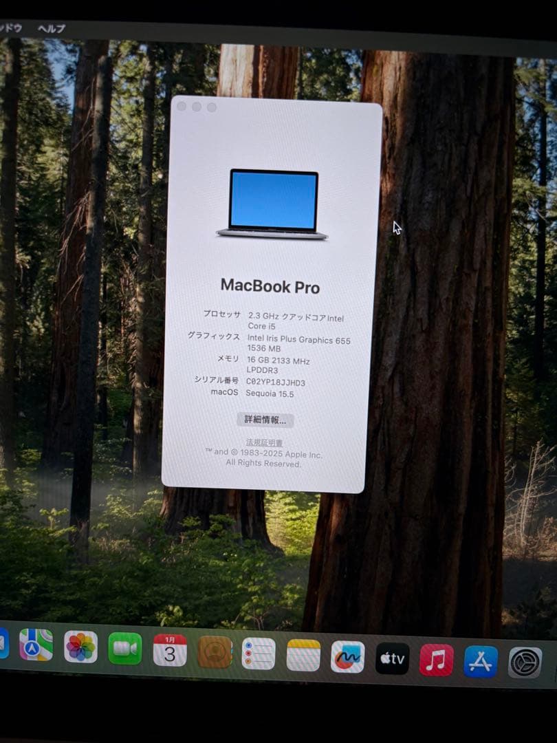 超美品　Apple MacBook Pro13 スペースグレイ バッテリー正常