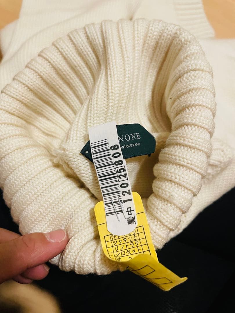 ZANONE 5ゲージ ソリッドウール タートルネックニット　オフホワイト46