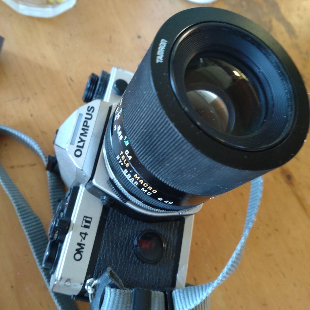 film オリンパス OM 4 Ti 、TAMRON SP 90mm F 2.5