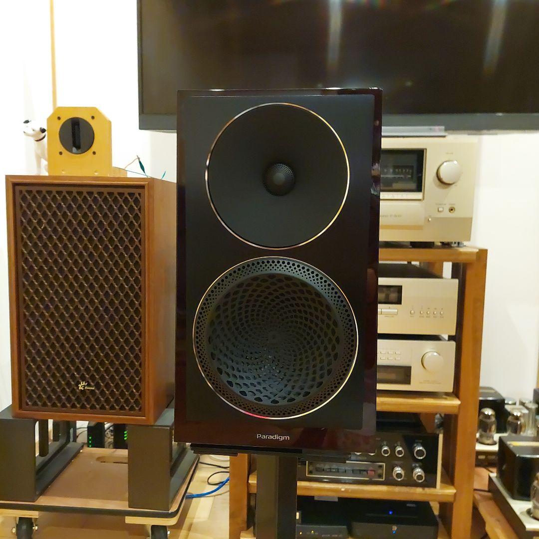 ⭐美品　Paradigm Founder 40B 使用わずか❗⭐