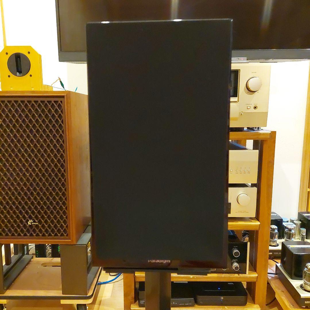 ⭐美品　Paradigm Founder 40B 使用わずか❗⭐