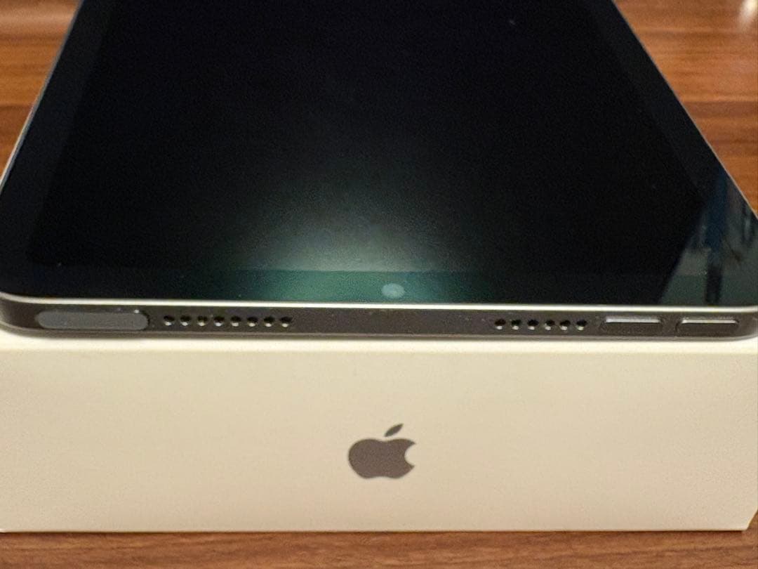 iPad mini(第7世代) 256GB Wi﻿-﻿Fi スペースグレイ