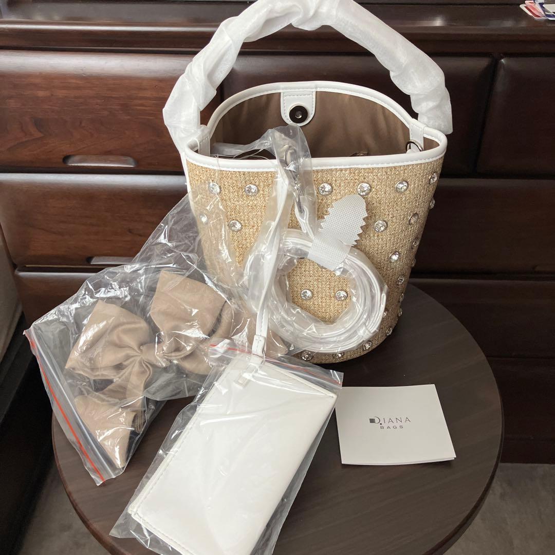 【新品・未使用】DIANA ダイアナ　リボン＆ビジューバッグ ポーチ付き