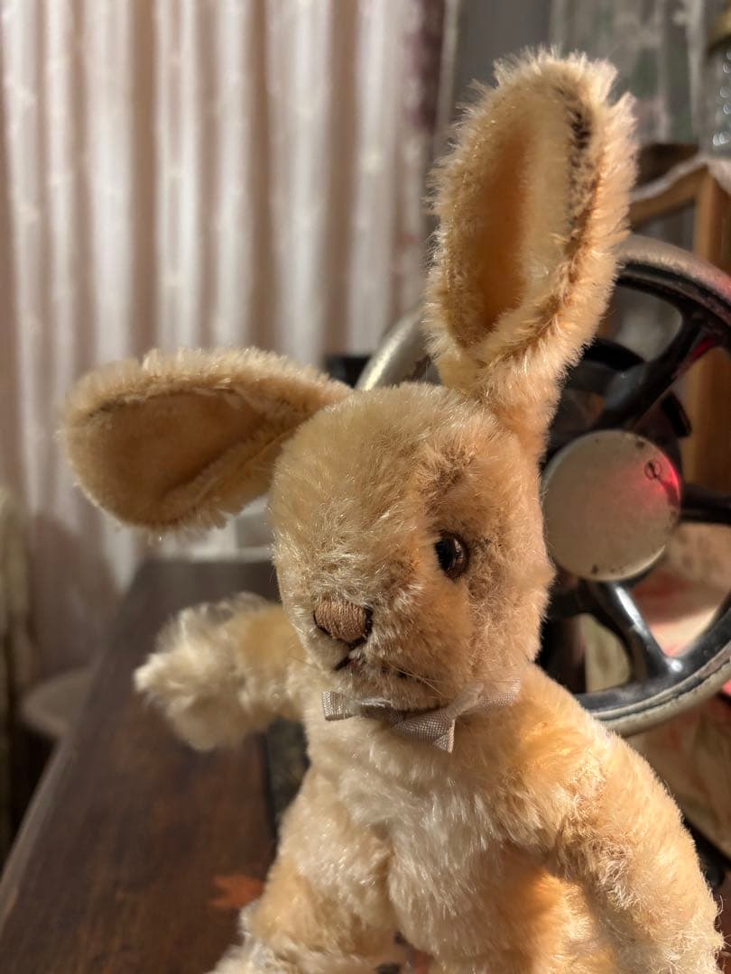 シュタイフBaby Rabbit sassy