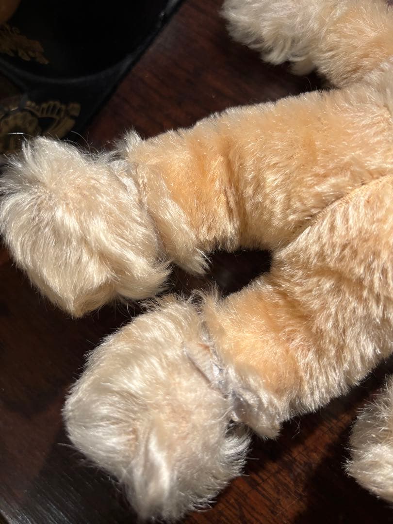 シュタイフBaby Rabbit sassy