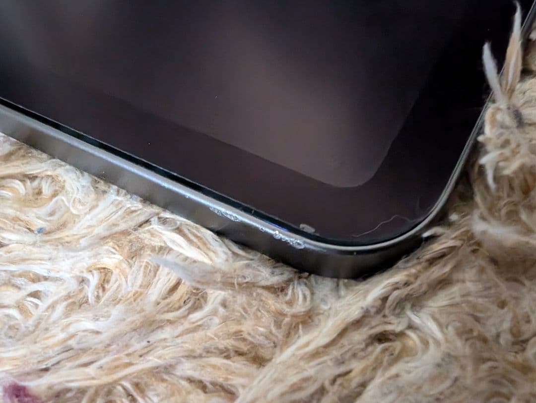 iPad Pro 12.9 第5世代（M1） 256gb