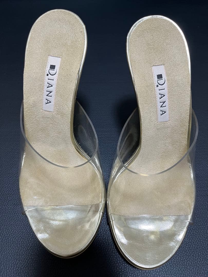 JBBF公認 DIANAミュール24.0cm