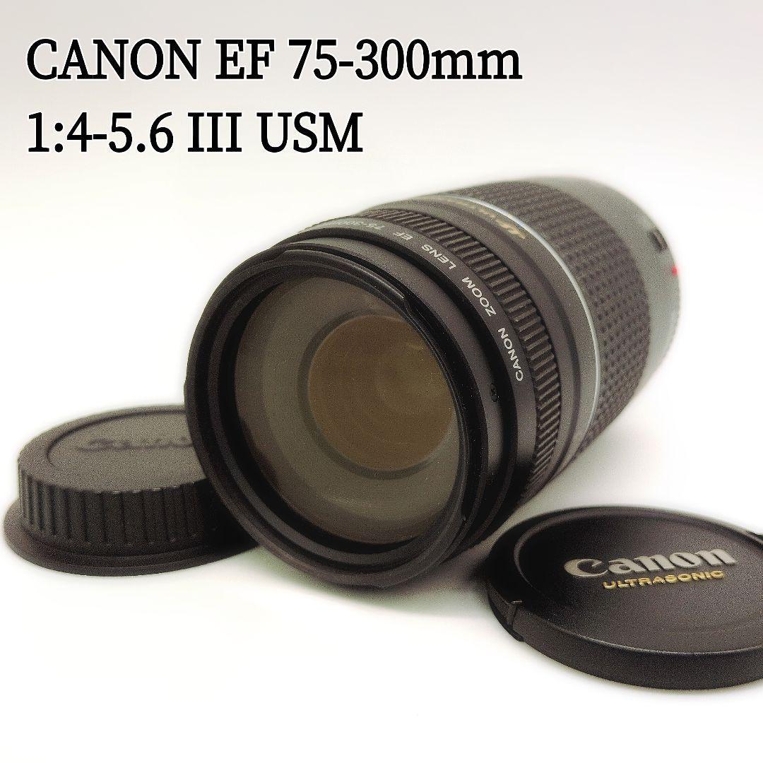 Canon EF 75-300mm F4-5.6 III USM 望遠ズーム