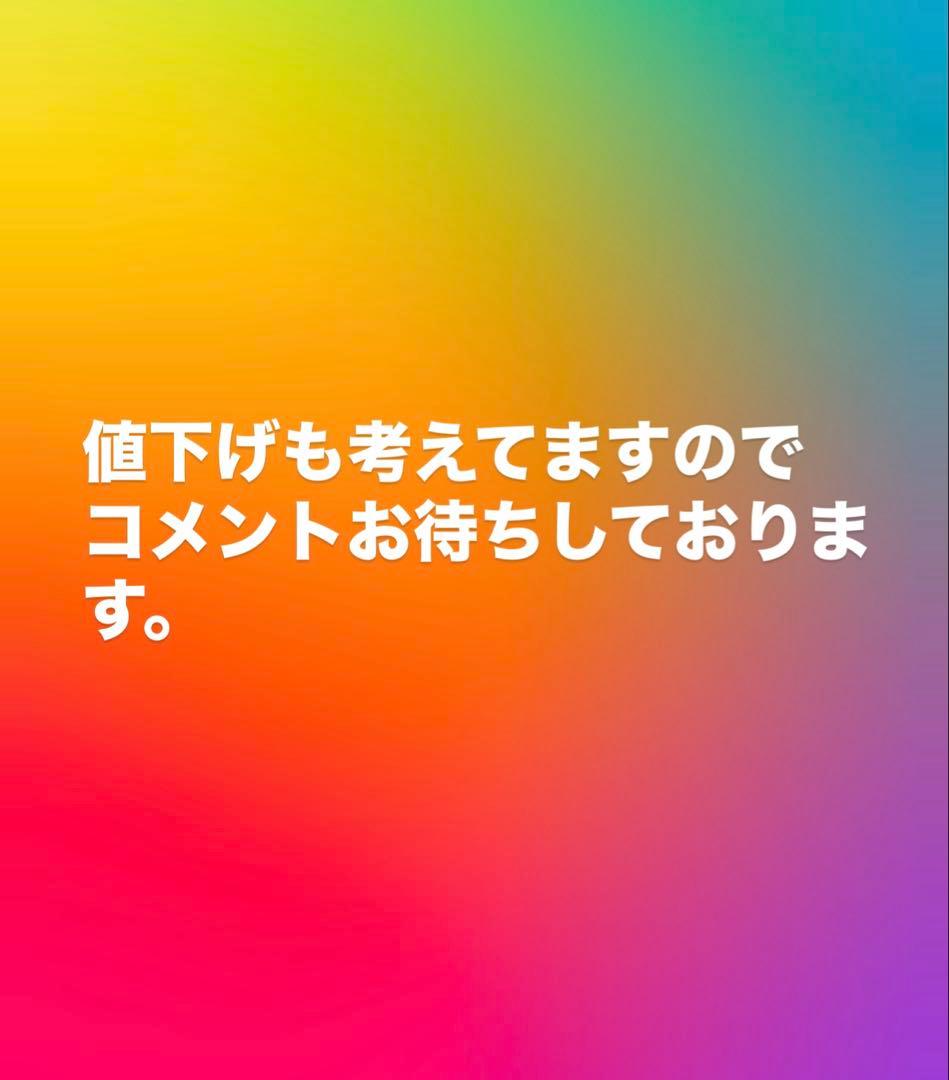 KARCHER スチームクリーナー　JTK30