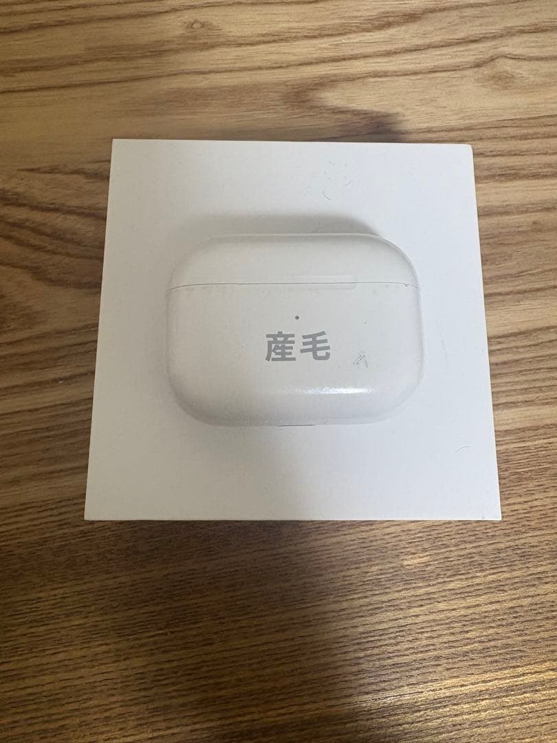 AirPods Pro 本体 ホワイト 産毛刻印