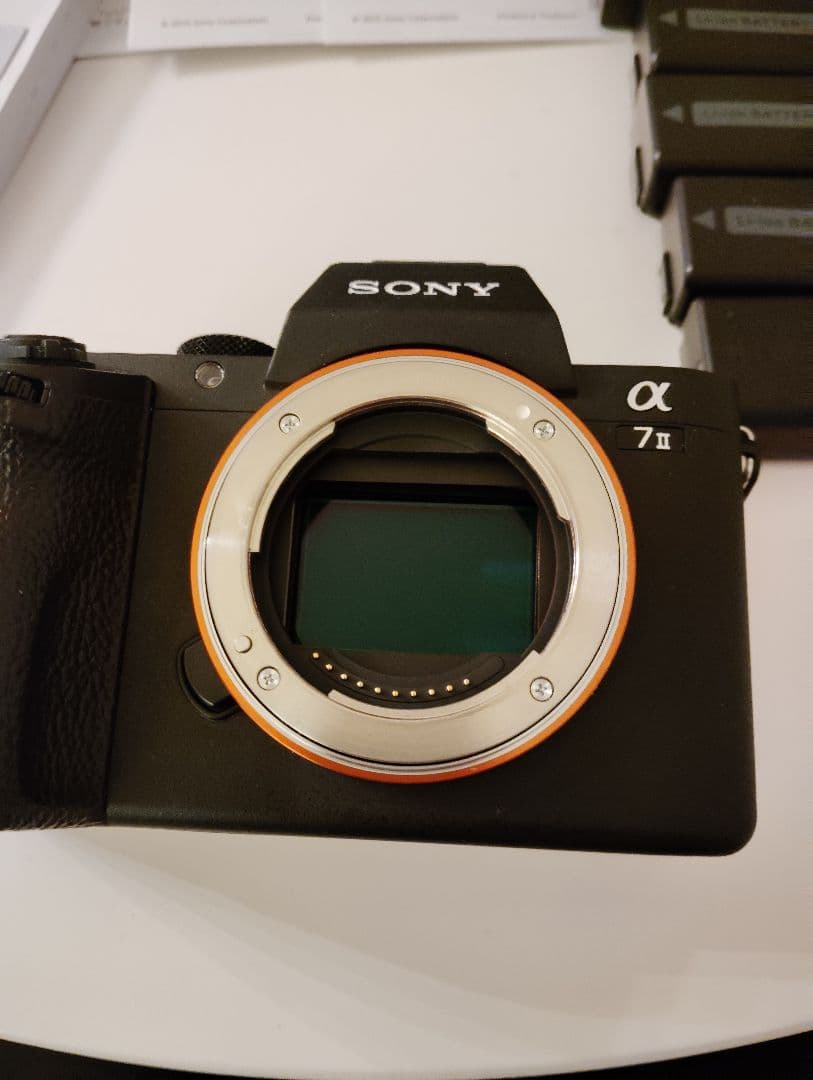 n*o様 超美品 SONY α7 II ミラーレス一眼 バッテリーグリップ付
