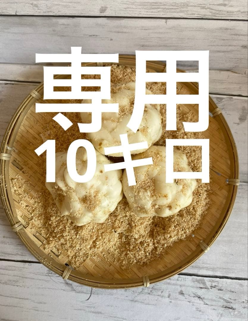 専用 規格外ゆり根10キロ