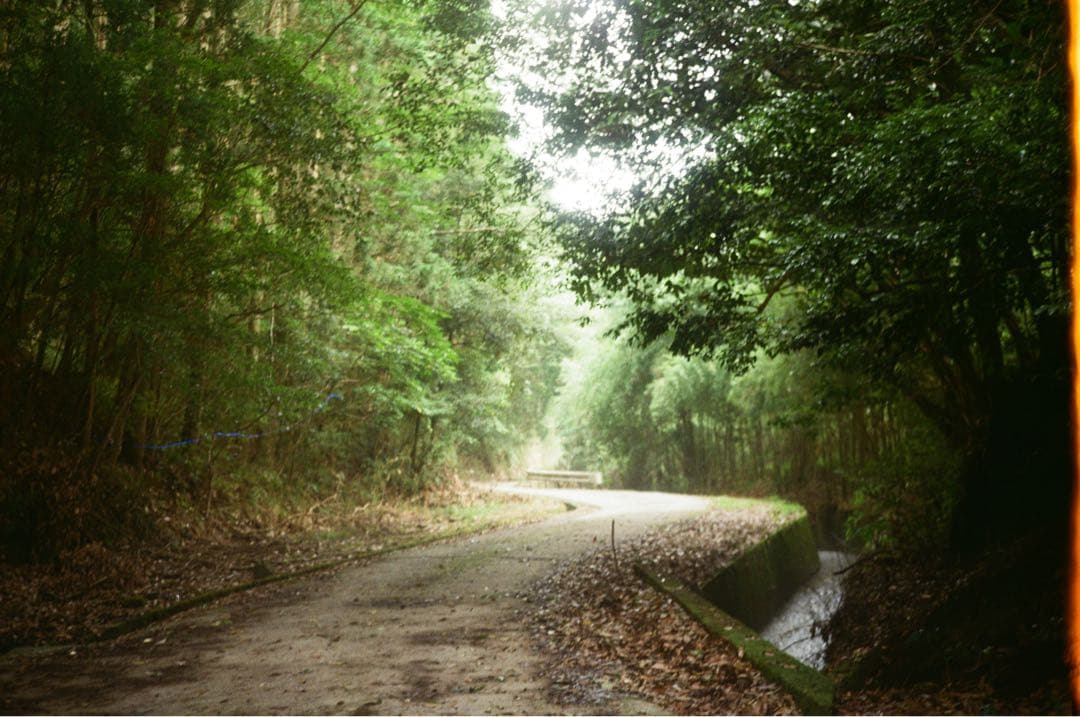 【希少・美品】ローライ Rollei 35 S Sonnar 40mm F2.8