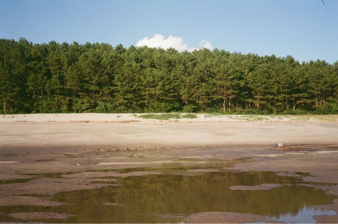 【希少・美品】ローライ Rollei 35 S Sonnar 40mm F2.8