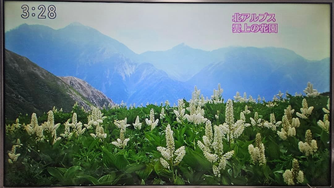 LG 49UH6500 4k UHD 液晶テレビ 完動品