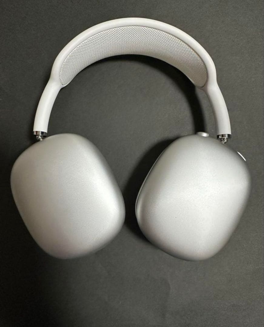 イルカAirPods Max