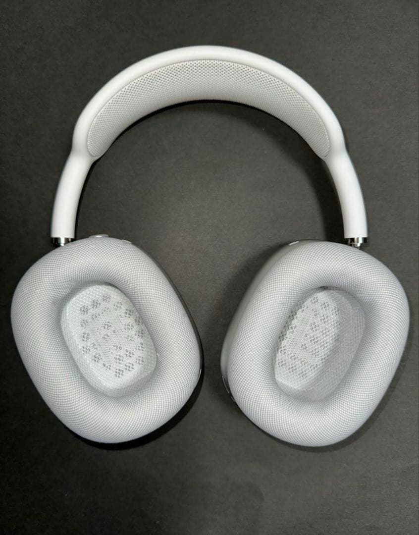 イルカAirPods Max