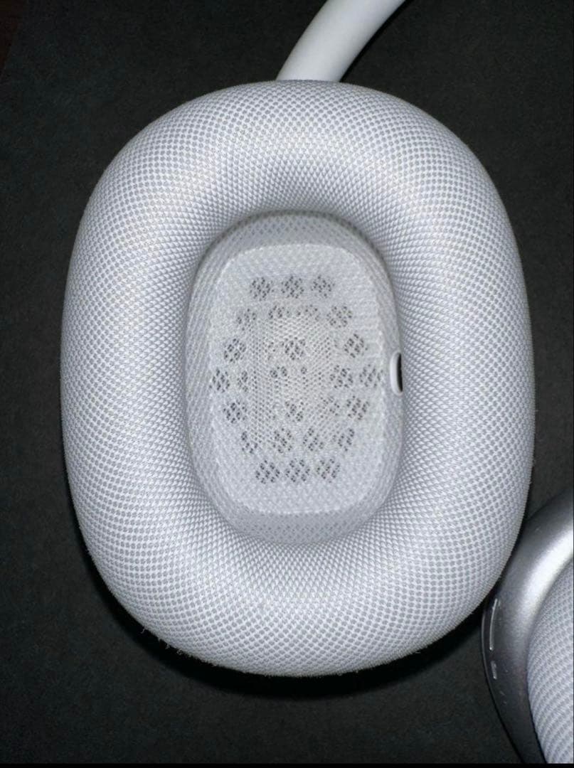 イルカAirPods Max