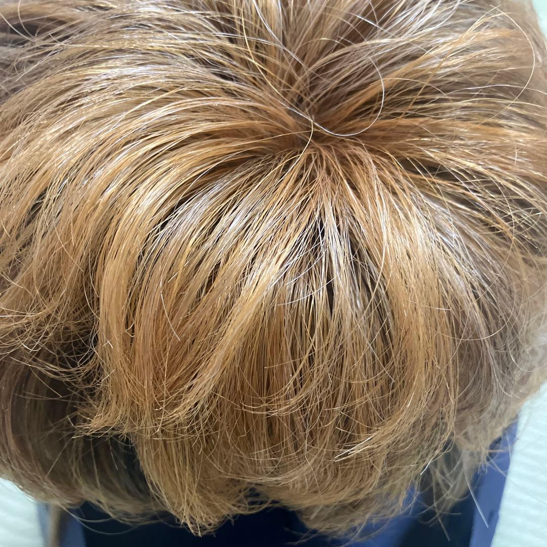 クリップ付き ウィッグ ブラウン系 タグあり 中古