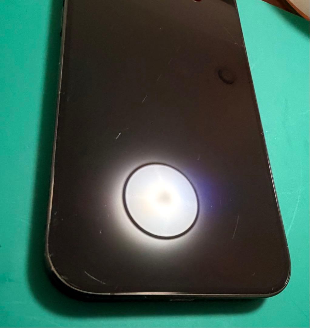 【正常品】iPhone 15 Pro 純正パネル ディスプレイ 取り外し品