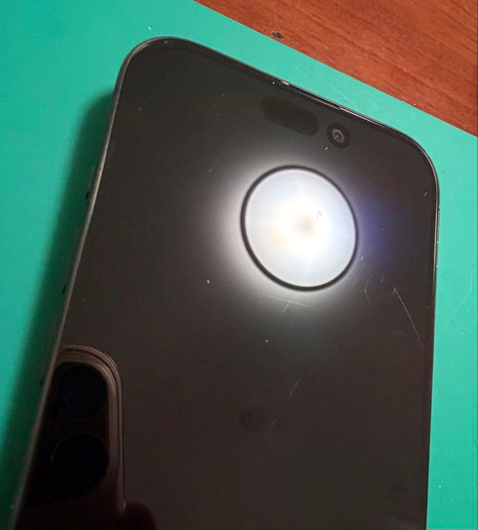 【正常品】iPhone 15 Pro 純正パネル ディスプレイ 取り外し品