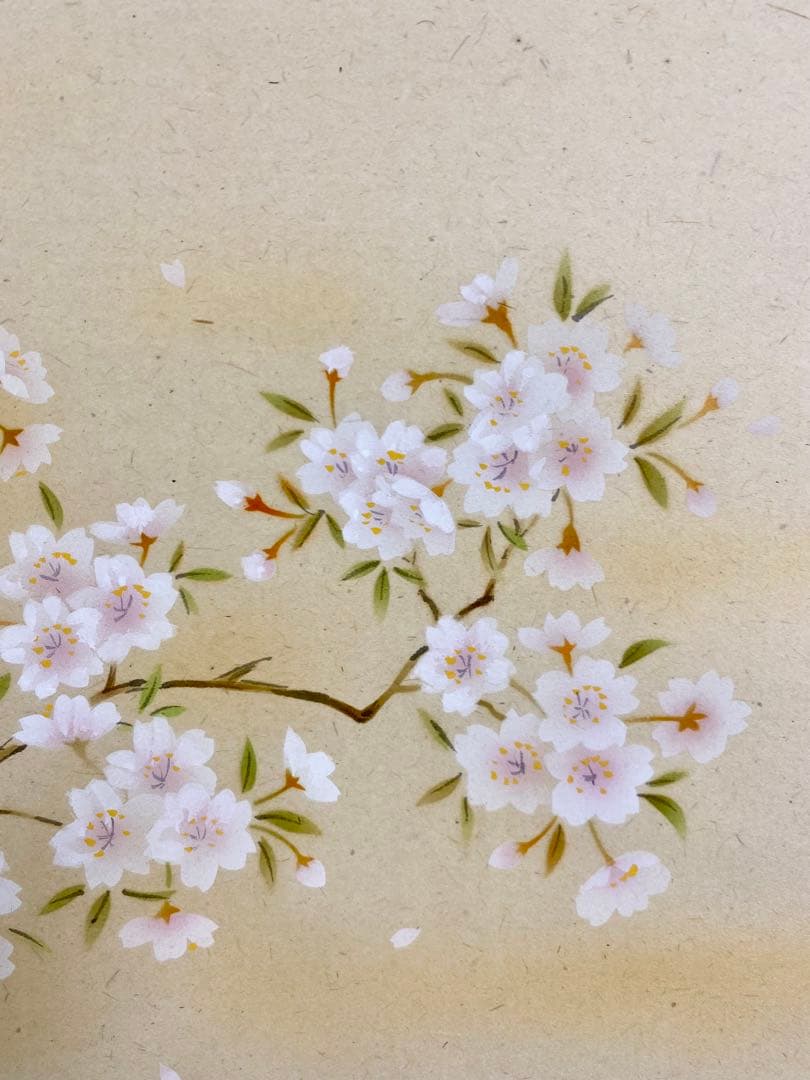 掛軸 茶掛 戸上明道【一様春】自筆 桜 画讃 玉瀧寺 大徳寺 住職 横物 軸装