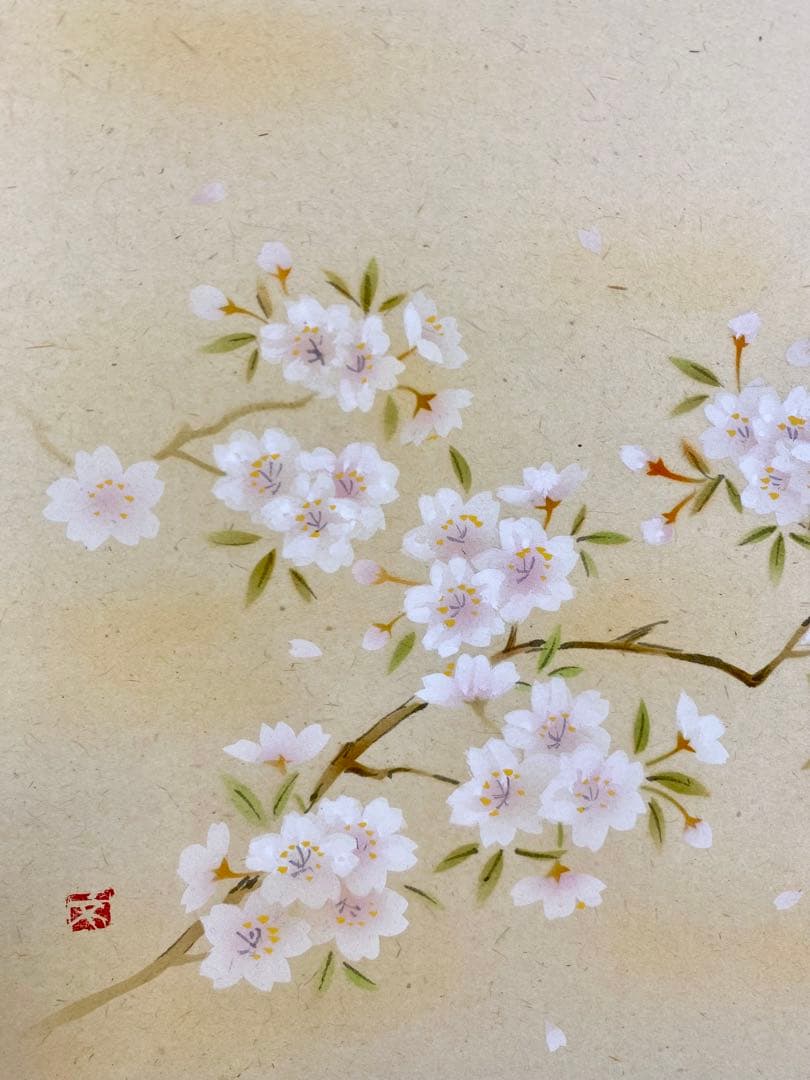 掛軸 茶掛 戸上明道【一様春】自筆 桜 画讃 玉瀧寺 大徳寺 住職 横物 軸装