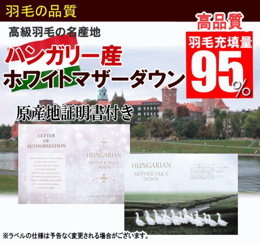 羽毛布団 セミダブル ホワイトマザーダック 超長綿 二層 SK6492-ブルー