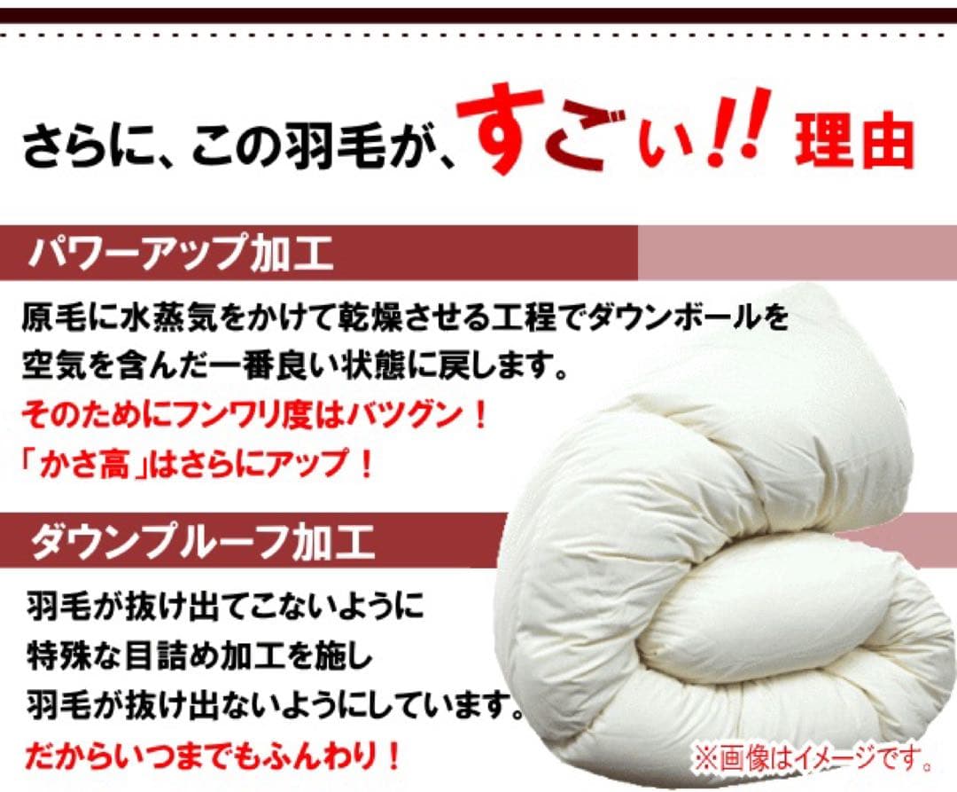 羽毛布団 セミダブル ホワイトマザーダック 超長綿 二層 SK6492-ブルー