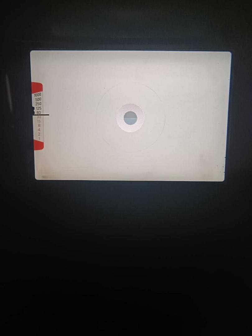 超美品 NIKON ニコン EM フィルムカメラ モルト新品交換済 M868