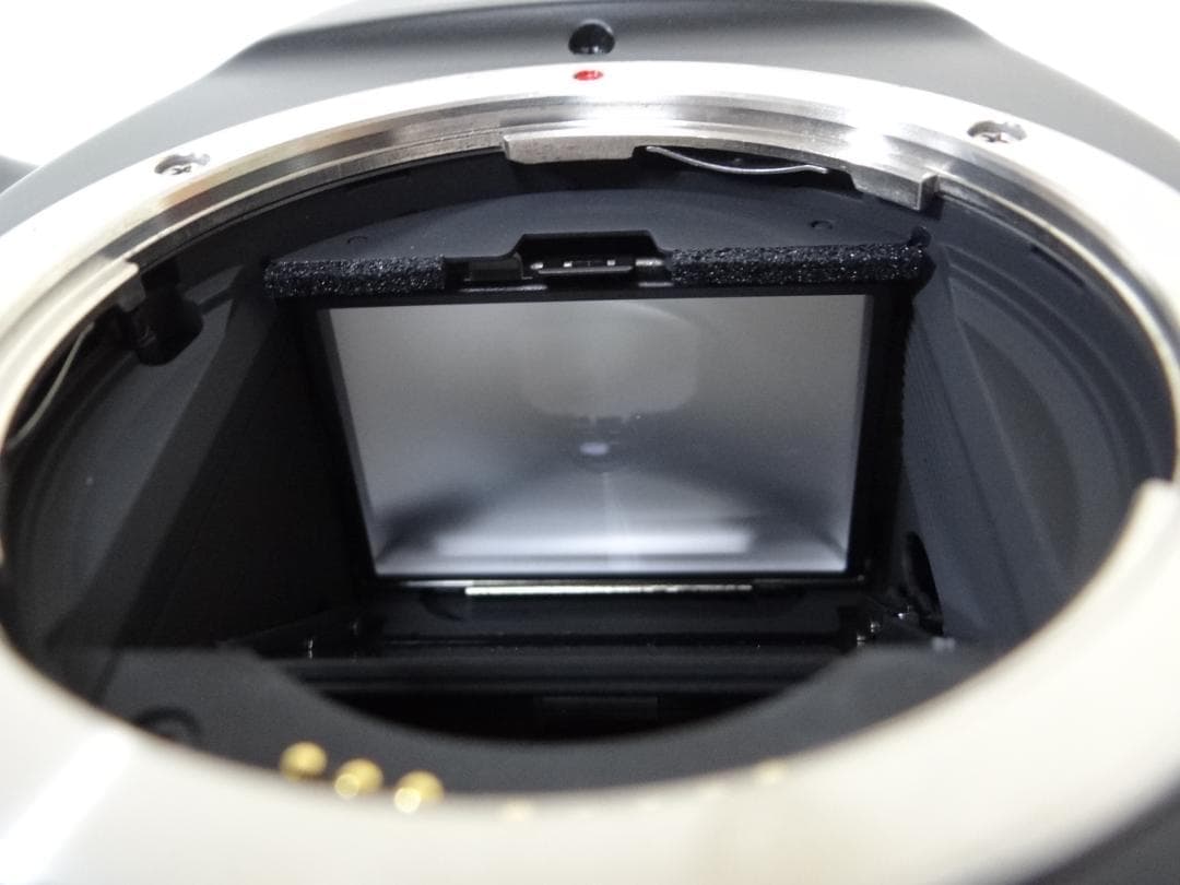 Canon EOS-1＋EF 28-80mm F2.8-4 L オートフォーカス