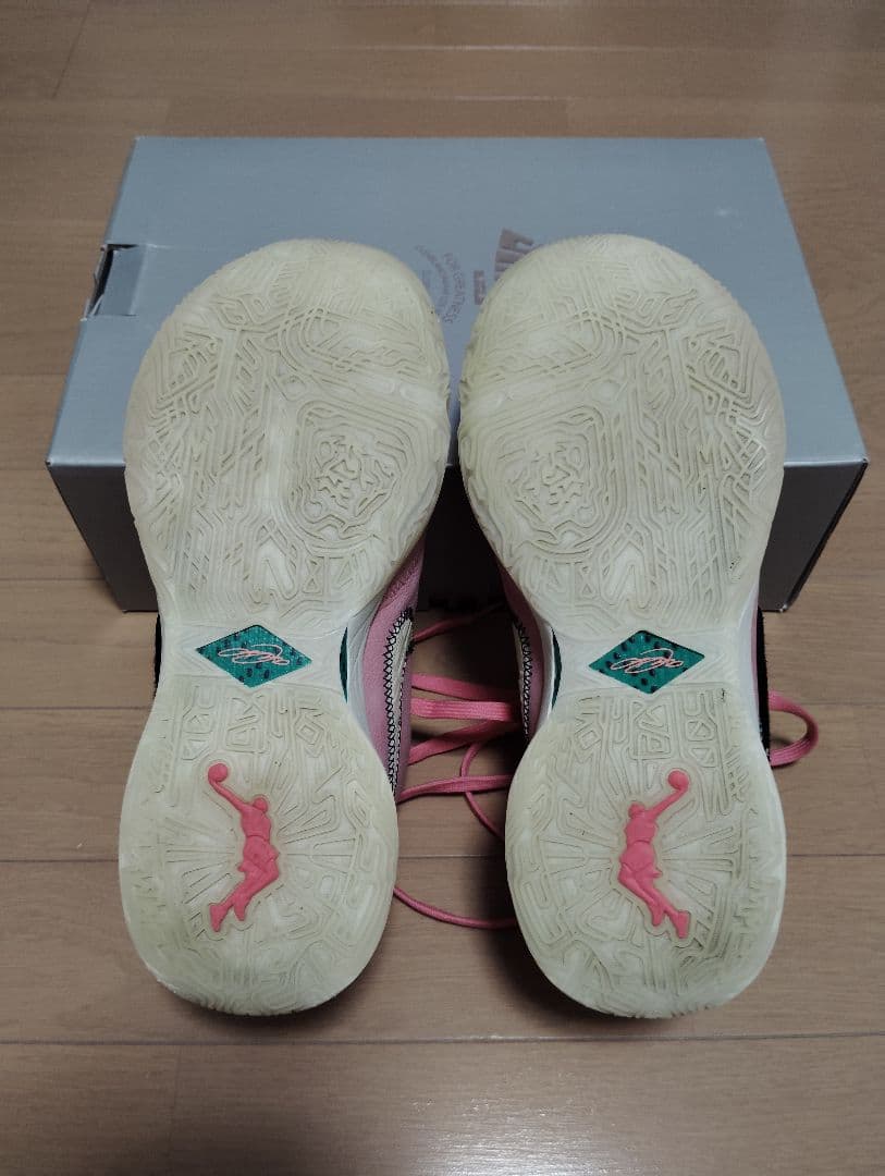 NIKE バスケットボールシューズ LEBRON XX EP