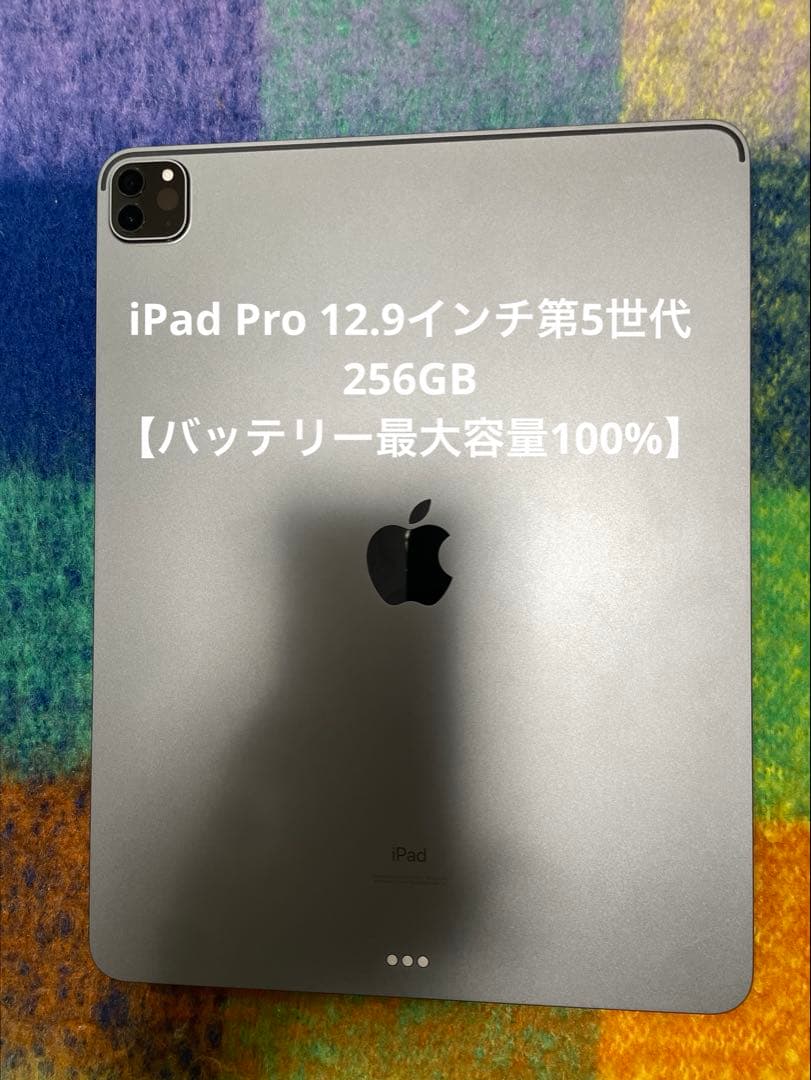 iPad Pro 12.9インチ第5世代256GB