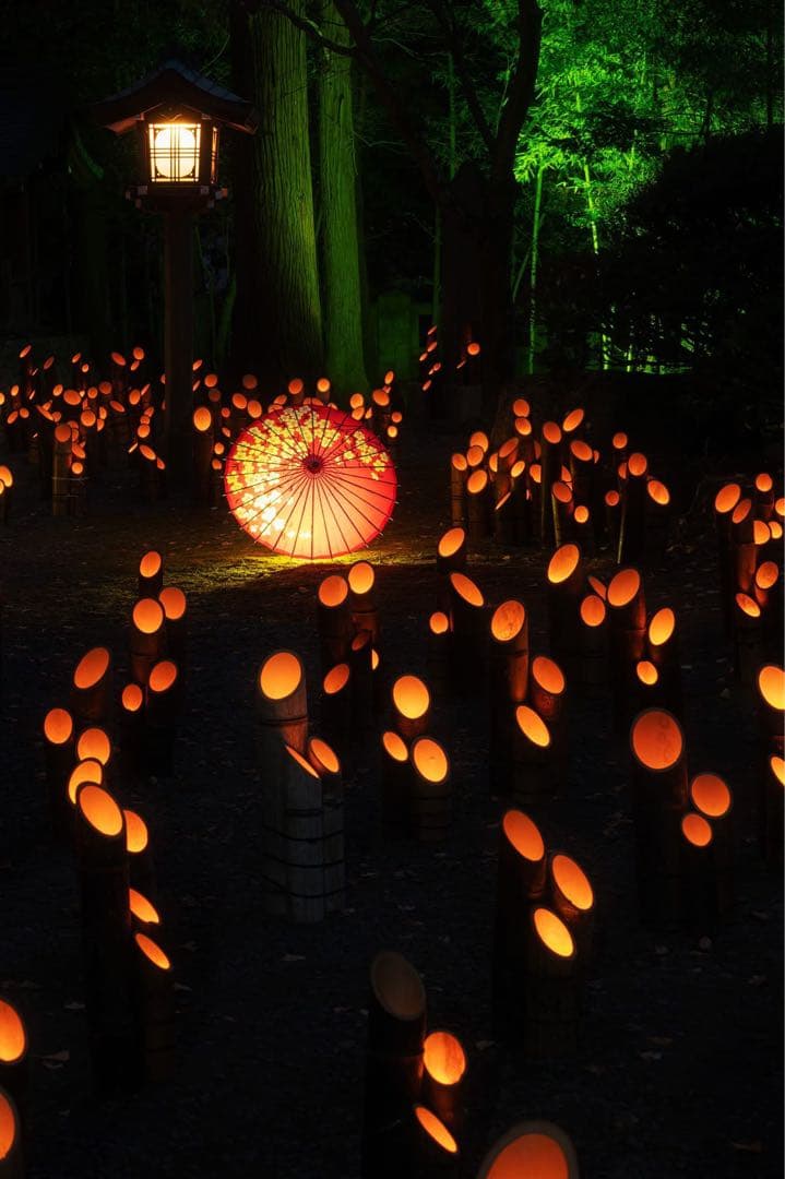 Nikon 70-300mm f4.5-5.6G (美品)