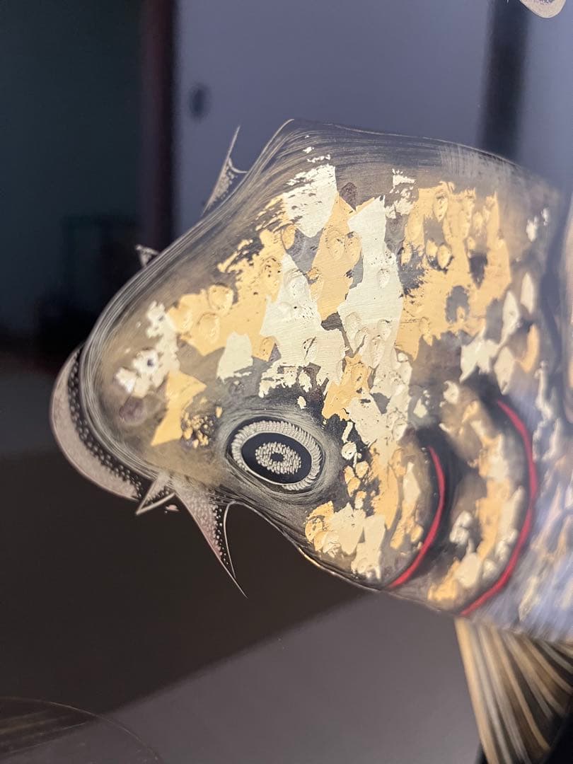 輪島塗 小西啓介作 衝立 パーテーション　鯉沈金