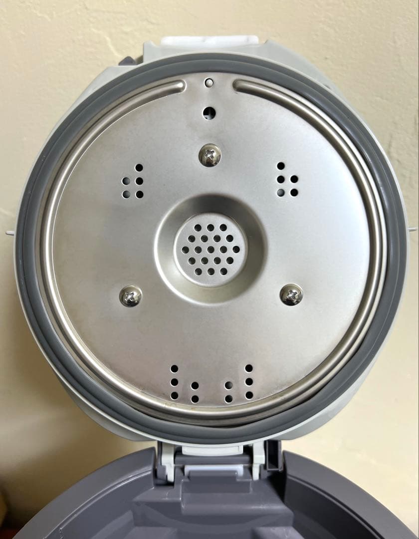 象印 スチーム式加湿器 EE-DE50-HA 2024年式