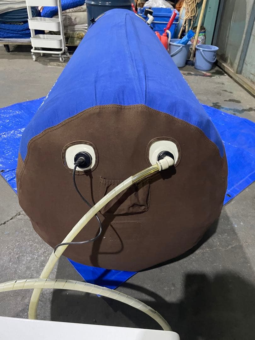 酸素カプセル ANION O2 アニオンO2 マイナスイオン機能付き