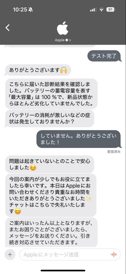 ipad mini 第6世代 256GB バッテリー容量100%