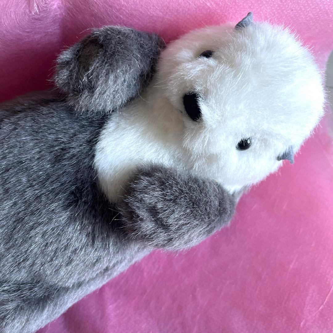 専用・ラッコさん・作家・ばんばぱえりあさん♡