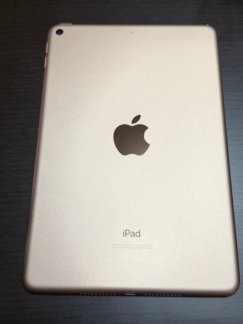 iPad mini 5 Wi-Fiモデル64GB バッテリー91%
