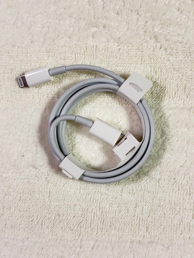 iPad mini 5 Wi-Fiモデル64GB バッテリー91%