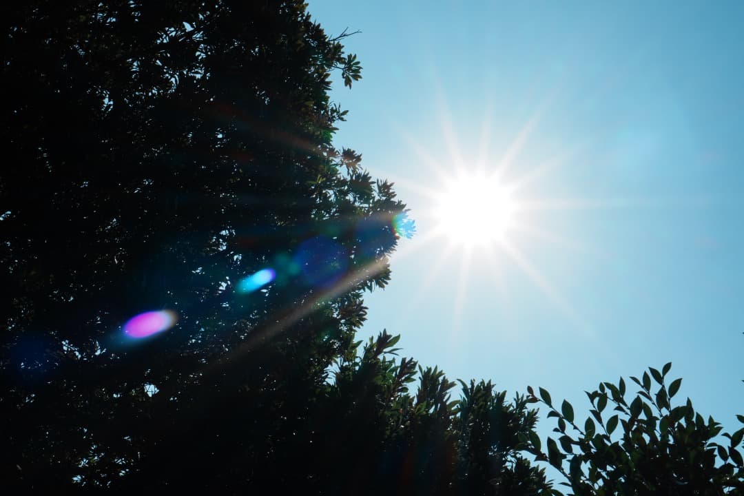 SONY E 35mm F1.8 OSS 明るく綺麗な単焦点 神レンズ 443